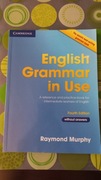 English Grammar In Use NOWA 4th edition