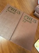 Nowele Prus 