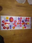 Gazetka Informator Ulotka kwiaty primula rośliny 1998 katalog Benary