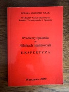 Problemy spalania w silnikach spalinowych Ekspertyza