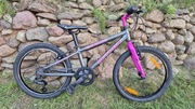 Rower Author Cosmic 20" różowo-grafit