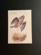 JÓZEF WILKOŃ - POCZTÓWKA - „WIELKANOC„ - 1965 rok