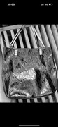 Torebka Michael Kors