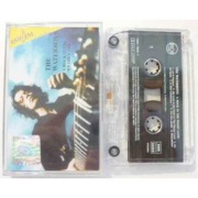 The Waterboys A Rock In The Weary Land - Kaseta audio
