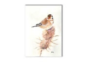 Akwarela ręcznie malowana "Szczygieł" ptaki + rama