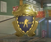 KONTO CS2 PRIME PEŁEN DOSTĘP