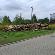 Sprzedam dąb kłody, bale o długości od 2 do 5mb, ilość 24m3