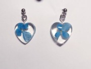 Kolczyki serca wkrętki żywe kwiaty w żywicy GRATIS