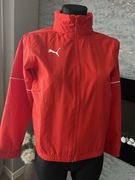 Nowa kurtka dziecięca Puma 11-12 lat (152 cm