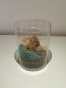 Tuba 11x14 na pająki,skorpiony,modliszki pusta !!