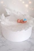Zestaw dekoracji na tort – niemowlę + skrzydła anioła | Handmade