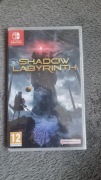 (Nintendo Switch) Shadow Labyrinth