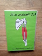 Atlas anatomii GIF cz.1 Mięśnie kończyny górnej na DVD