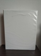 Segregatory ofertowe Esselte A4- 10 sztuk