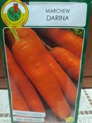 Marchew nasiona 'Darina'