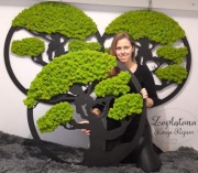 BONSAI CHROBOTEK 80 CM 