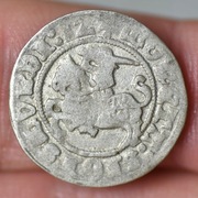 Polska Zygmunt I Stary półgrosz 1512 Wilno