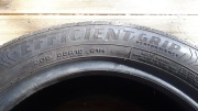Opona  goodyear EFICIENT GRIP PERFORMANCE
