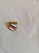 Wisła Szczucin złota, rzadka (Unia Tarnów, Wisła Kraków)