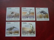 Komory 2009 MNH Fauna Ptaki