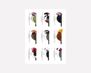 Plakat - Dzięcioły - Wysokiej jakości druk pigmentowy