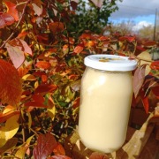 Miód rzepakowy z własnej pasieki