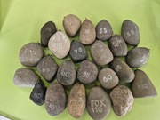 CIĘŻAREK KARPIOWY  KAMIEŃ