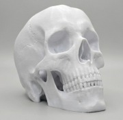 Dekoracyjna ozdobna Figurka Czaszka Biała ozdoba do domu wnętrza dekoracja