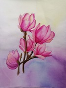 Magnolia akwarela 30x40