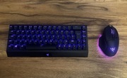 Zestaw Razer Blackwidow V3 Mini + Basilisk V3 Pro