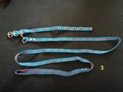 york szczeniak zestaw: obroża/smycz, nieb.-czerw.