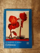 Cyklameny K. Oszkinis