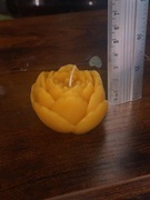 Piwonia świeca z wosku pszczelego