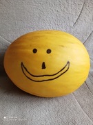 CD PŁYTA-NIESPODZIANKA :) LOSOWANA PRZEZ TUKANA, MUZYCZNA LOTERIA