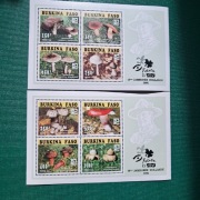 Burkina Faso   Grzyby  2  bloki     1996   czyste  