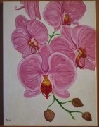 Storczyk. Piękny kwiat. Obraz rysowany akrylem. 