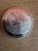 Kookaburra 2016 rok - fals 