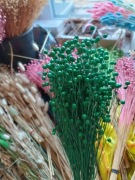 len zieleń ciemna zboże suszone naturalny w wiązkach 