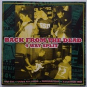 Various – Back From The Dead (4 Way Split)    CD  hardcore  Polska