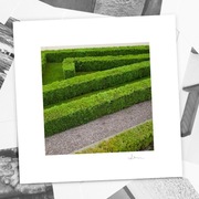 Autorska fotografia "Geometria" - wydruk. 