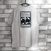 Szara koszulka t-shirt the north face grey tnf logo Denali exploring góra
