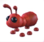 4x ant - Adopt Me Roblox
