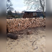 Drewno bukowe i dębowe papierówka gałęziówka 