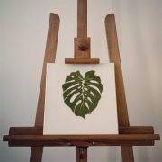 Obraz haftowany na płótnie Monstera