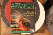 Akwarium-Nr.5 - maj 2004_Magazyn 