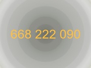 Złoty numer telefonu - 668--222--090