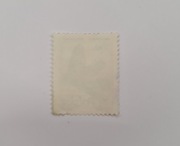 3164 Polska Owoce drzew iglastych (1)