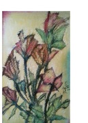 Fantastyczne   Róże   Nieba