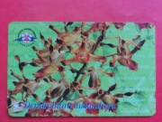 SINGAPUR   - Karta telefoniczna  /  KWIATY