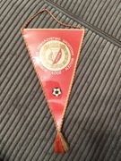 Proporczyk RTS Widzew Łódź 